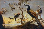 Frans Snyders Group of Birds Perched on Branches oil on canvas